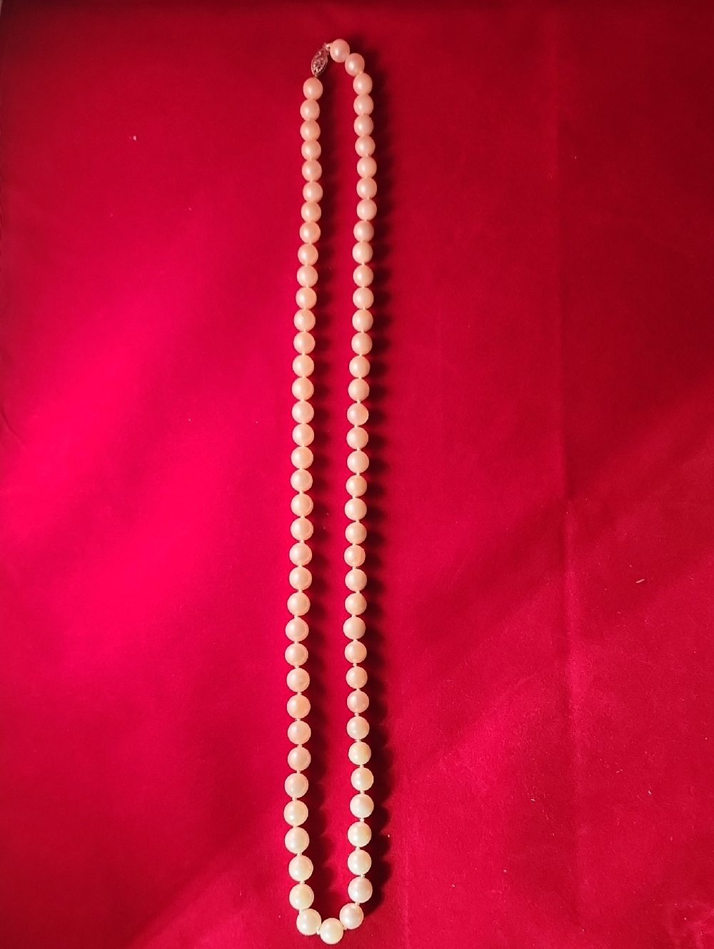 Classic Cream Beaded Necklace - Women Jewelry